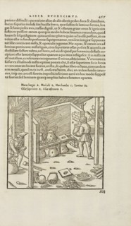 Page 467 Georgii Agricolae De re metallica: libri XII. Quibus officia, instrumenta, machinae, ac omnia deni, que, ad metallicam
