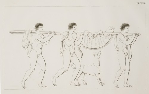 Pl. XVIII, Peintures de vases antiques, vulgairement appelés étrusques, Clener, A., Dubois-Maisonneuve, Millin, A. L. Aubin