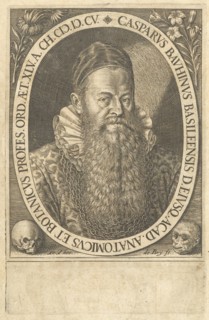 Frontispiece, Caspari Bauhini Basileensis Theatrvm anatomicum: novis figuris oeneis illustratum et in lucem emissum opera