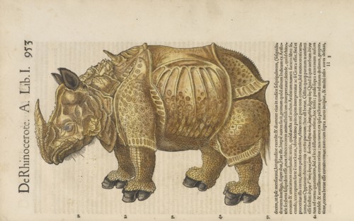 De rhinocerote, Historiæ animalivm, Gesner, Konrad, 1516-1565, Letterpress, woodcut, hand-colored, 1551