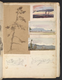 Sketches G. Hayter, Hayter, Sir George, 1792-1871, graphite, ink, watercolor, 1816