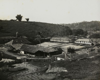 View of a coffee plantation, photograph of nineteenth-century Brazil, Ferrez, Marc, 1843-1923, ca. 1885