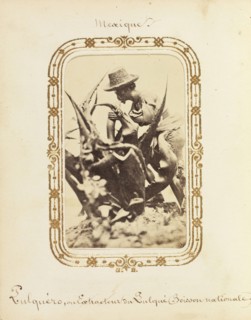 Album of Mexican and French cartes-de-visite, between 1861-1880