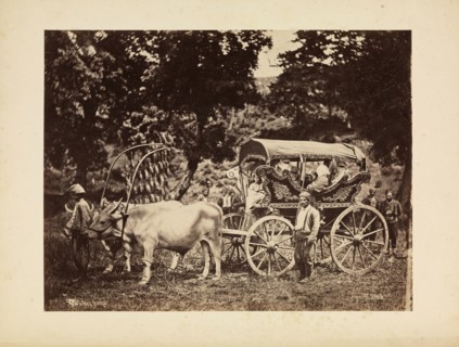 Voiture turque, orientalist photography, Sebah, Pascal, ca. 1870