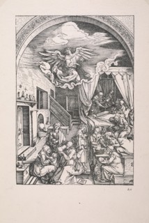 Epitome in divae parthenices Mariae historiam ab Alberto Durero Norico per figuras digestam cum versibus annexis Chelidonii