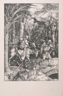 Epitome in divae parthenices Mariae historiam ab Alberto Durero Norico per figuras digestam cum versibus annexis Chelidonii