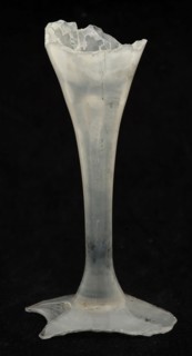 Fragments of three drinking glasses smooth round stem, conical and hexagonal stem, round base, glass soil find glass, blown