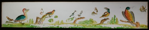 Hand-painted glass lantern plate in wooden frame, with bird species, slide slide slideshoot images glass wood, Hand-painted