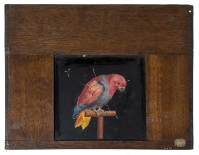 Hand-painted glass plate in wooden frame for illumination cabinet, with image of parrot on stick, slideshelf slideshoot images