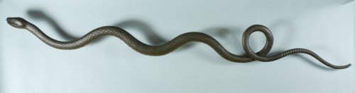 Green painted wooden shopping hose for use in pharmacy, sculpture footage wood iron paint, pharmacy store health care
