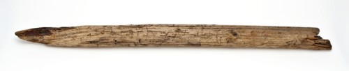 Polished wooden post, shaft of boat hook or oar, pile ground find timber, cut Wood pile. Highlighted Open nail hole and remnants