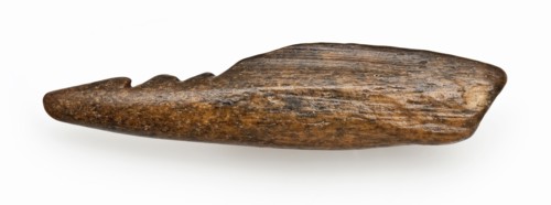 Legs pointed with three barbs, pointed harpoon soil found leg, sawn cut ground Late stone age archeology Maglemose culture