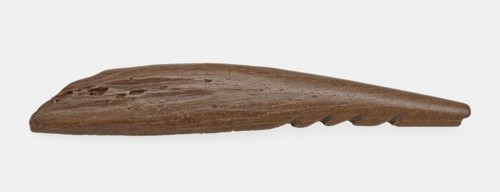Large legs pointed with four barbs, pointed harpoon soil found bone, sawn cut cut Late stone age archeology Maglemose culture