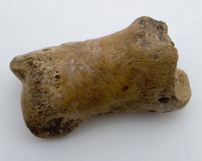 Legs throw, unnoticed, castor toy relaxant soil find leg, cleaned Legs cast-up leg Koot is damaged by use during play