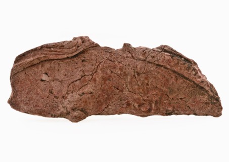 Fragment of large wax seal with fleur de lis and lettering, soft red, wax seal seal information form soil find lacquer