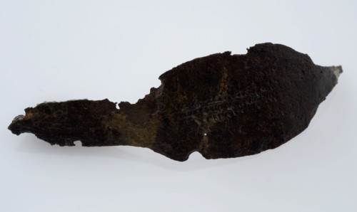 Bronze fibula or mantle pin, curved model with flat back, without pin, fibula fastener soil find bronze metal, poured beaten
