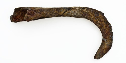 Scraper with sickle-shaped, rounded blade and forged, hollow connector to handle, knife cutting tool soil found iron metal, Sick