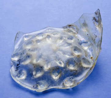 Fragment of soil with blackberry bud and part of the wall of the beaker cup, drinking cup drinking vessel holder soil find glass