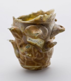 Fragment of soil, trunk and onset of calyx of small berkemeier with sharply thorned buds, drinking glass drinking utensils