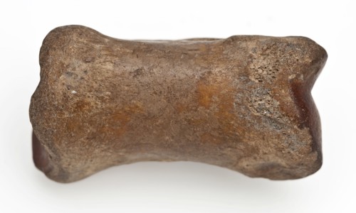 Digit from cow's leg, part of throwing game: flocks, koot game piece relaxant soil find lead leg metal, Koot from the foreleg
