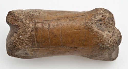 Digit from cow's leg, part of throwing game: chaps, koot game piece relaxant soil find leg, Head of the leg marked, three