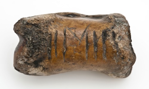 Legs leg, part of throwing game: chaps, koot spelstuk relaxant bottomfound leg, Bone weighted with lead and marked, three lying