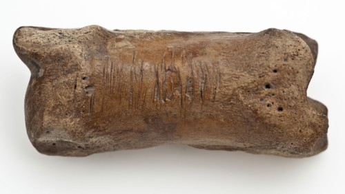 Digit from cow's leg, part of throwing game: flocks, koot game piece relaxant soil find leg, Bone on long side