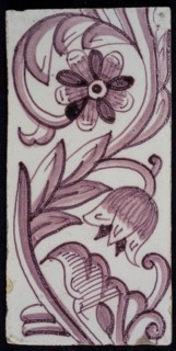 Rectangular edge tile in purple with hinged decor of tulip, with flower of ten oval petals, leaves, type of tulip fawn, yellow