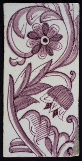 Rectangular edge tile in purple with hinged decor of tulip, with flower of ten oval petals, leaves, type of tulip fawn, yellow