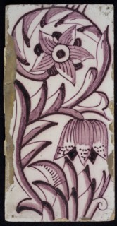 Rectangular edge tile in purple with sling of spotted tulip, flower with ten triangular petals, leaves, type of tulip fawn