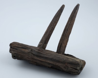 Fragment wooden rake with two teeth, rake tool equipment soil find timber, sawn drilled cut cut Fragment of wooden rake. Head
