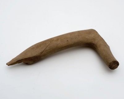 Object of modified antlers, possibly leg, tools equipment soil finds leg horn, w 8,9 sawn cut Tools made of part of an antler