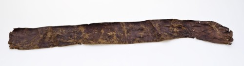 Fragment leather belt, belt, belt belt bottomfound leather, tanned cut sewn Narrow strip of belt or belt with two narrow and one