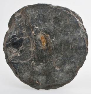Almost circular slate, uneven surface, slate soil found slate stone, cutted Round cut disc arch archeology Valckensteyn