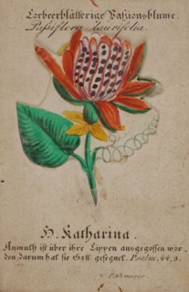 Print with flower, stuck on the card, hidden under the loose part of the flower an image of Saint Catherine, church print