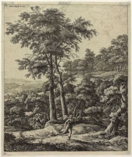 Apollo and Daphne, n.d., Anthoni Waterlo, Dutch, 1609-1690, Holland, Etching on paper, 290 x 243 mm