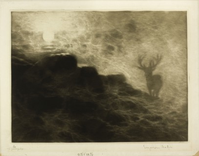 An Early Riser, 1897, Francis Seymour Haden, English, 1818-1910, England, Mezzotint on ivory laid