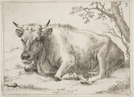 Cow Lying Down Beside a Tree, n.d., Paulus Potter, Dutch, 1625-1654, Holland, Etching on ivory laid