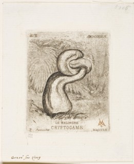 The Sickly Cryptogam, 1860, Charles Meryon (French, 1821-1868), printed by Pierron (French, 19th