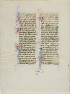 Illuminated Manuscript Leaf, c. 1450, Italian, Italy, Manuscript cutting with round gothic