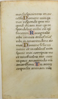Illuminated Manuscript Leaf, c. 1450, Italian, Italy, Manuscript cutting with roman small letter