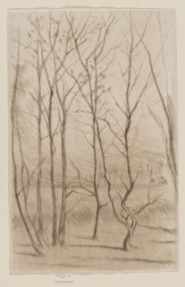 The Dam Wood, 1874/75, James McNeill Whistler, American, 1834-1903, United States, Drypoint in