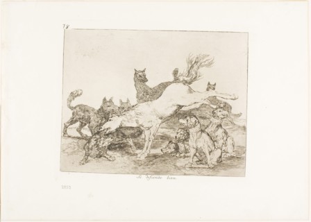 He defends himself well, plate 78 from The Disasters of War, 1815/20, published 1863, Francisco