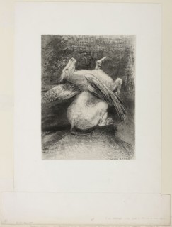 The Impotent Wing Did Not Lift the Animal Into That Black Space, plate 7 of 8 from Les Origines,