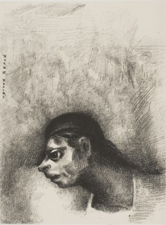 Through the Crack in the Wall, a Death’s Head Was Projected, from The Juror, 1887, Odilon Redon,