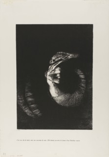 It is a Skull Wreathed in Roses…, 1888, Odilon Redon, French, 1840-1916, France, Transfer
