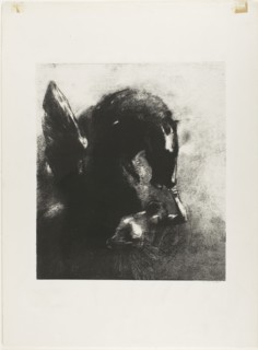 Captive Pegasus, 1889, Odilon Redon, French, 1840-1916, France, Transfer lithograph on mounted