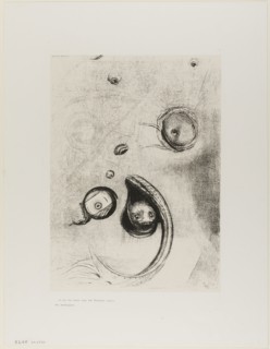 Et que des yeux sans tete flottaient comme des mollusques, plate XIII of Tentation de St. Antoine,