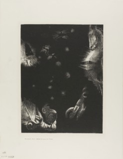 Different Peoples Inhabit the Countries of the Ocean, plate 23 of 24, 1896, Odilon Redon, French,