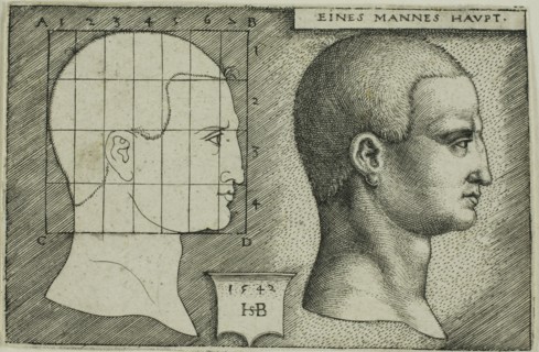 Profile Study of Man’s Head, 1542, Sebald Beham, German, 1500-1550, Germany, Engraving in black on